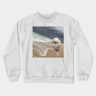 Le Porge3, Nouvelle Aquitaine, France. Crewneck Sweatshirt